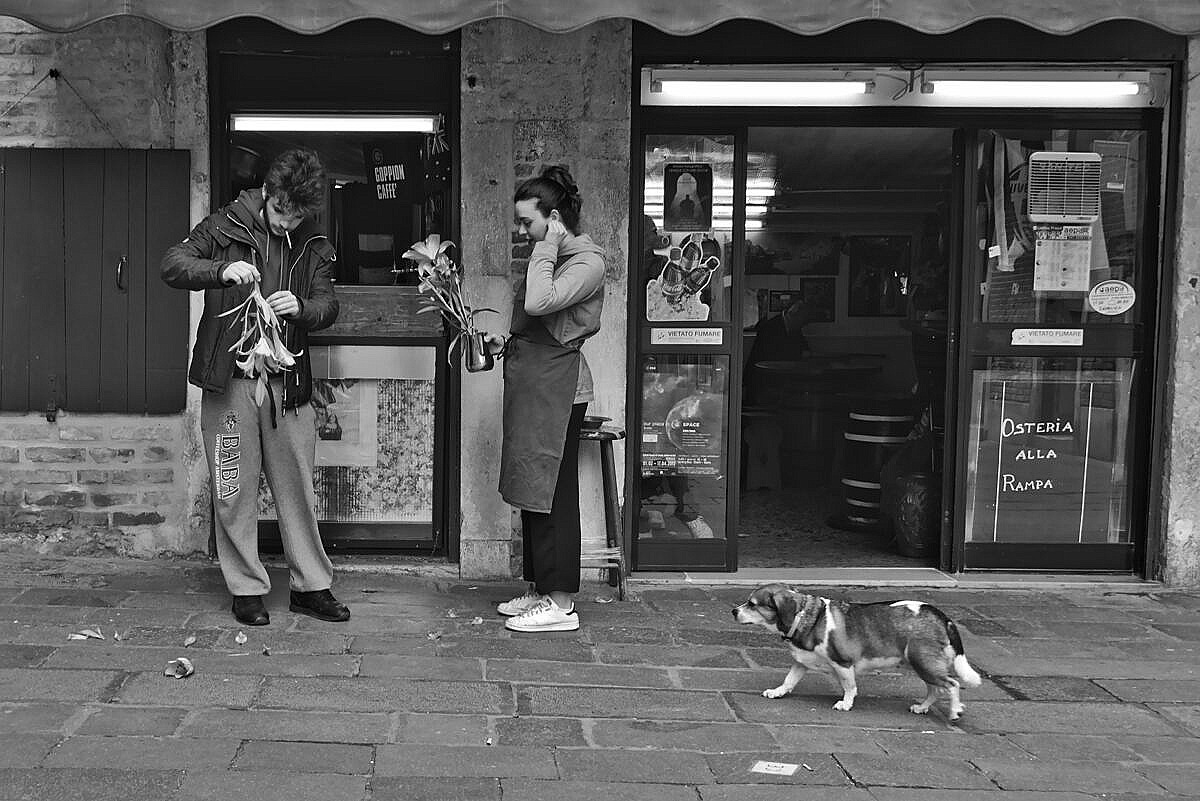 Young couple sorting out the flowers of a bar in Venice