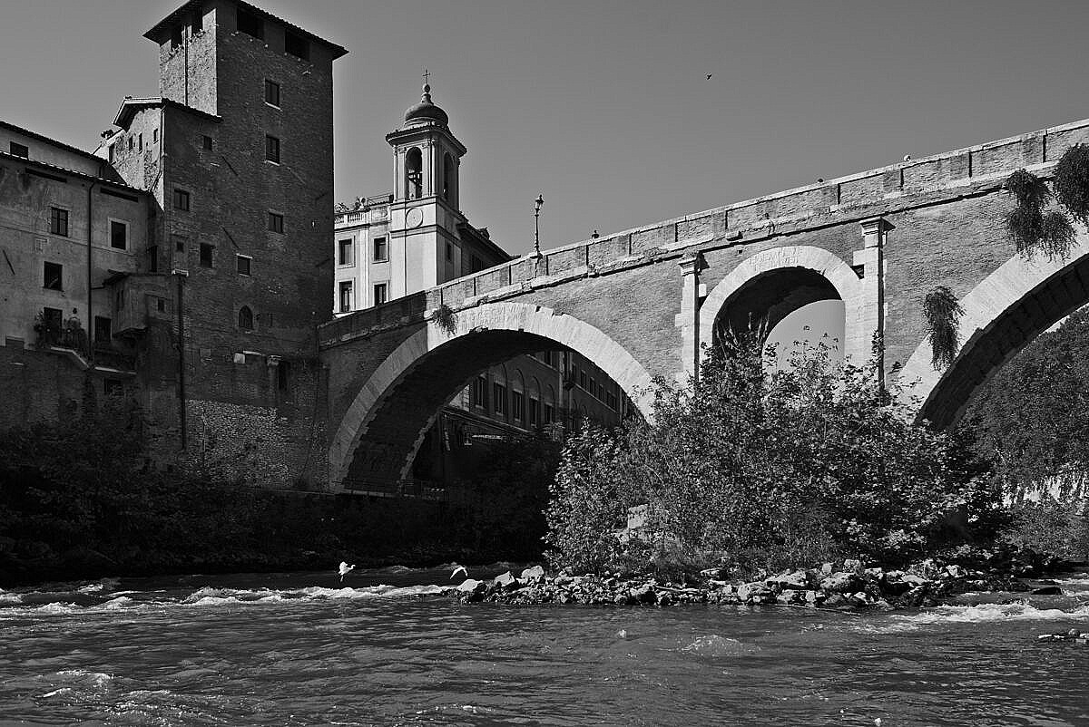 The Tiber river with white egrets, the ancient Ponte Fabricius and the Tiburtine island in Rome