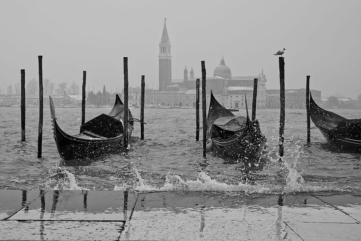 Three gondolas bouncing in the waves at St. Mark's square on a winter day.