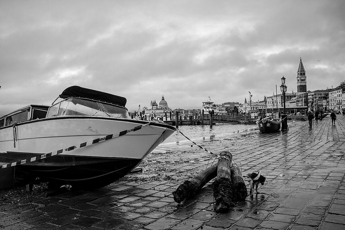 High tide - Venice under water - taxi on land