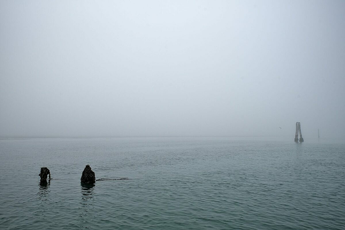 The Venetian lagoon on the fog - broken briccola
